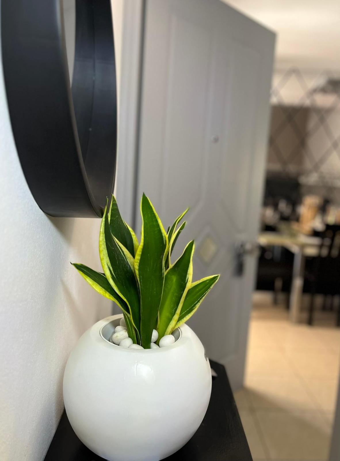 Diamond City Lux Apartment Argostoli  Zewnętrze zdjęcie