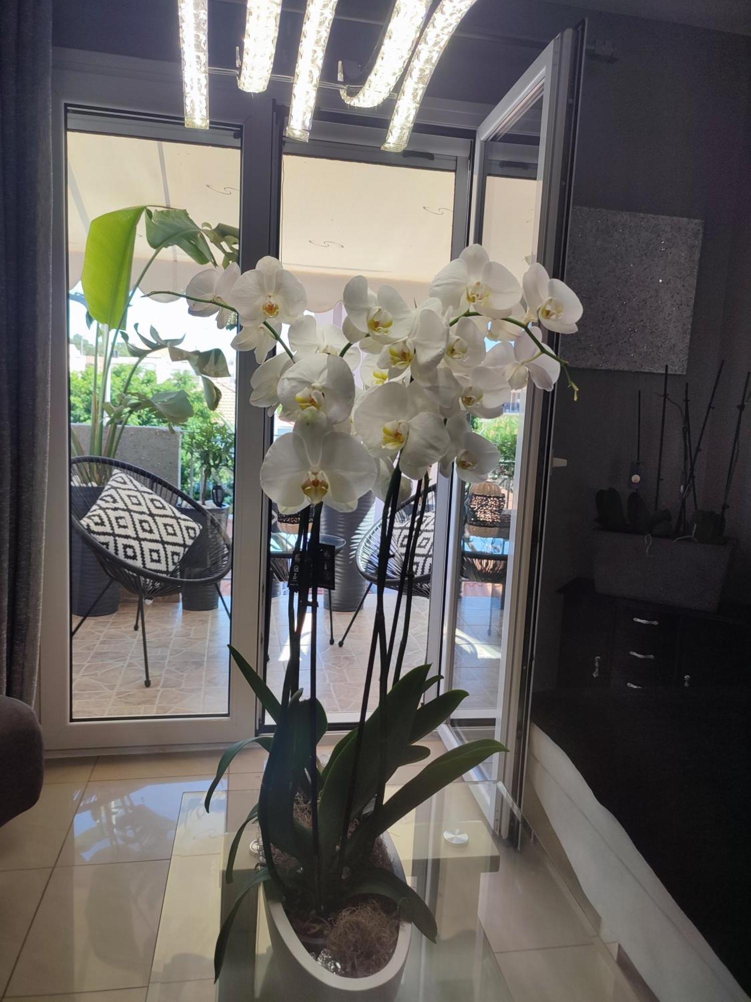 Diamond City Lux Apartment Argostoli  Zewnętrze zdjęcie